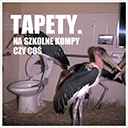 tapety cover